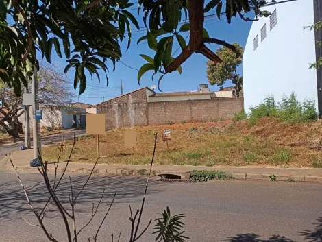 imagem 1 - Terreno a Venda no Bairro Mansour imagem 1 - Terreno a Venda no Bairro Mansour