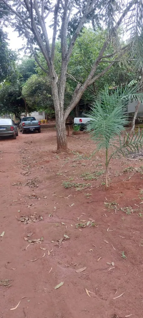 imagem 3 - Casa - Chácara imagem 3 - Casa - Chácara