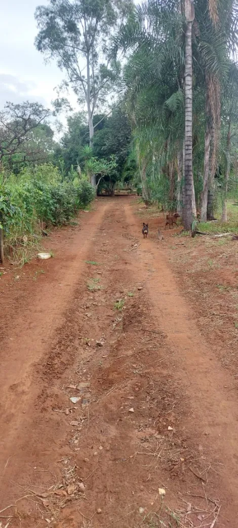 imagem 4 - Casa - Chácara imagem 4 - Casa - Chácara