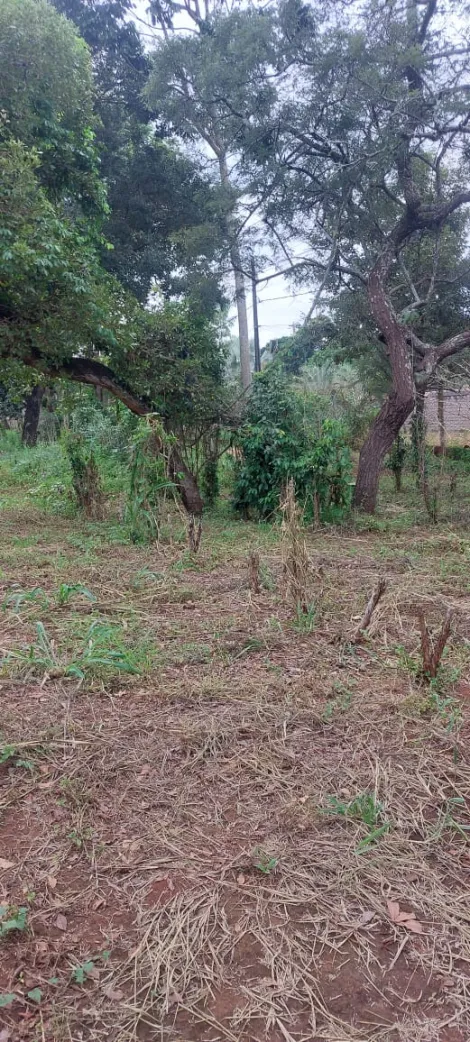 imagem 5 - Casa - Chácara imagem 5 - Casa - Chácara