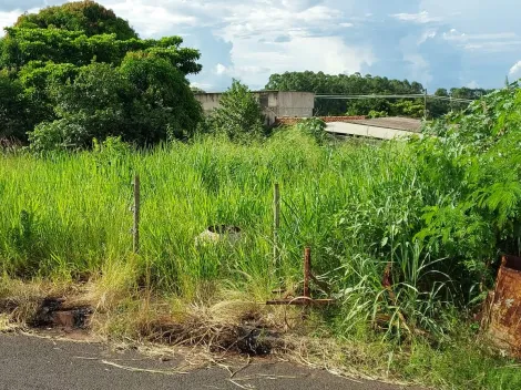 Venda para terreno no Dona Zulmira.