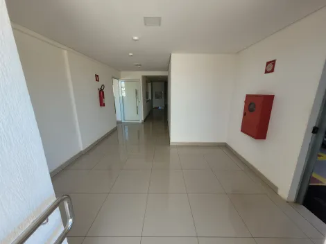 Apartamento para locação no bairro Saraiva