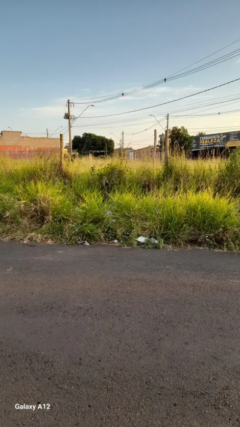 imagem 1 - Terreno Esquina Bairro Jardim Célia imagem 1 - Terreno Esquina Bairro Jardim Célia