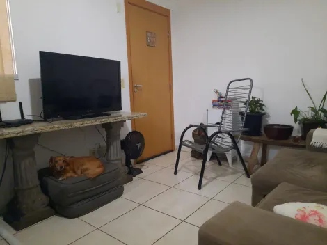 imagem 2 - Apartamento - Padrão imagem 2 - Apartamento - Padrão