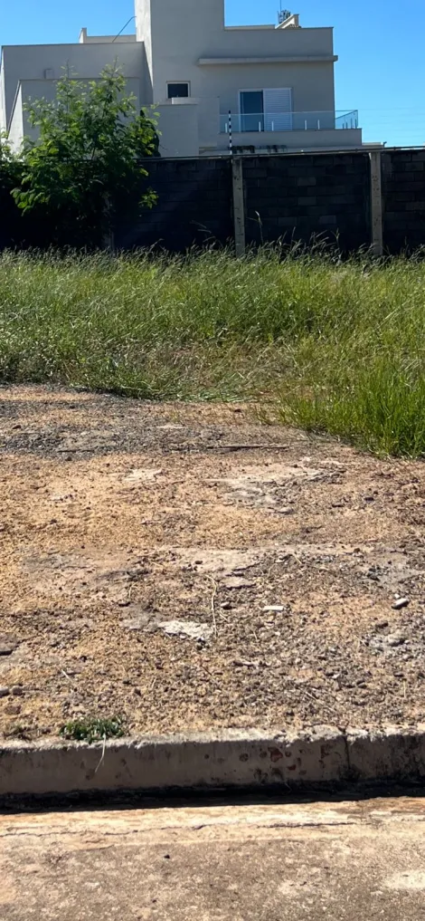 imagem 2 - Lote para venda no bairro Laranjeiras. imagem 2 - Lote para venda no bairro Laranjeiras.