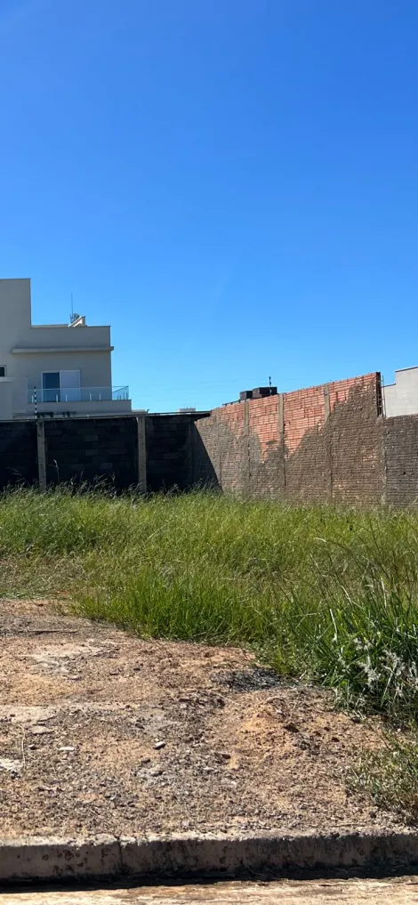 imagem 3 - Lote para venda no bairro Laranjeiras. imagem 3 - Lote para venda no bairro Laranjeiras.