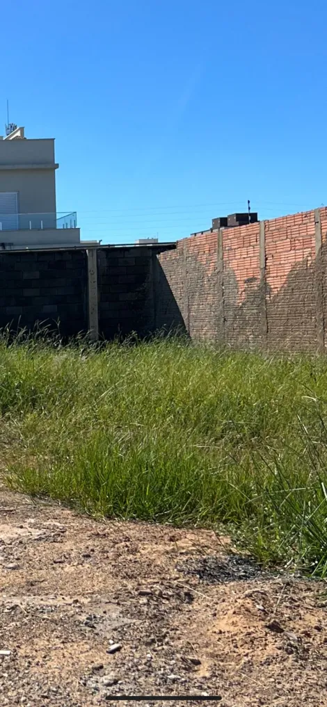 imagem 4 - Lote para venda no bairro Laranjeiras. imagem 4 - Lote para venda no bairro Laranjeiras.