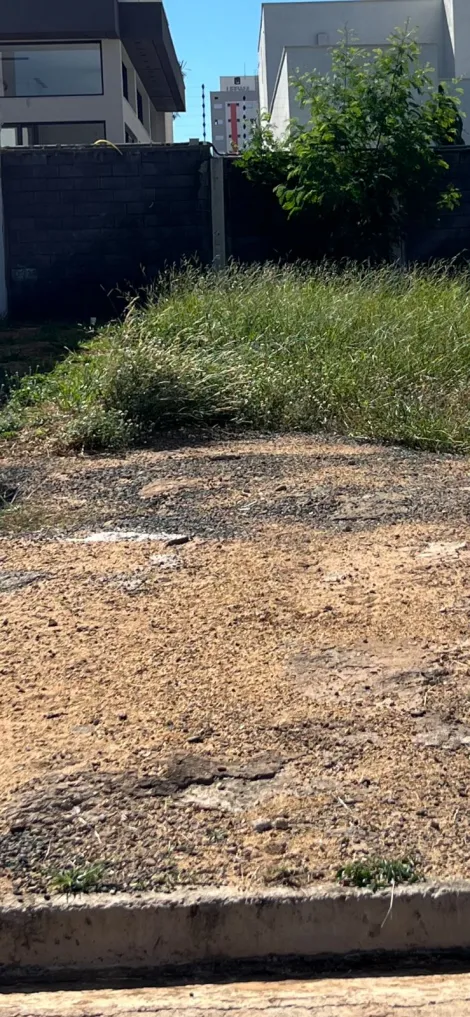 imagem 5 - Lote para venda no bairro Laranjeiras. imagem 5 - Lote para venda no bairro Laranjeiras.