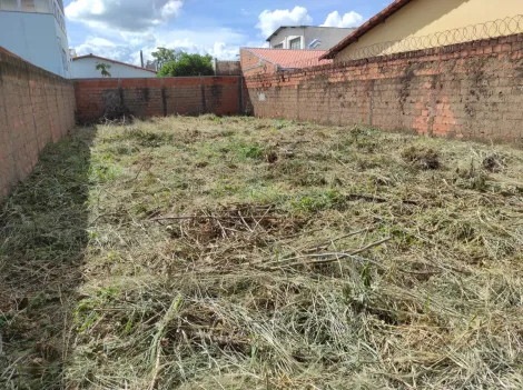 imagem 3 - Terreno para venda no bairro Jardim Ozanan. imagem 3 - Terreno para venda no bairro Jardim Ozanan.