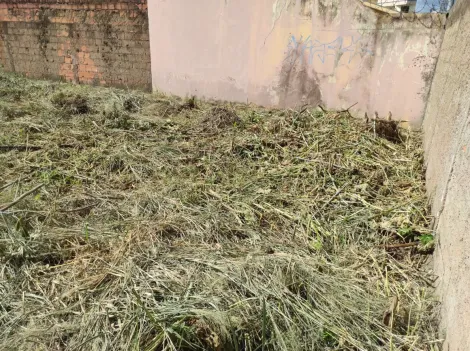 Terreno para venda no bairro Jardim Ozanan.