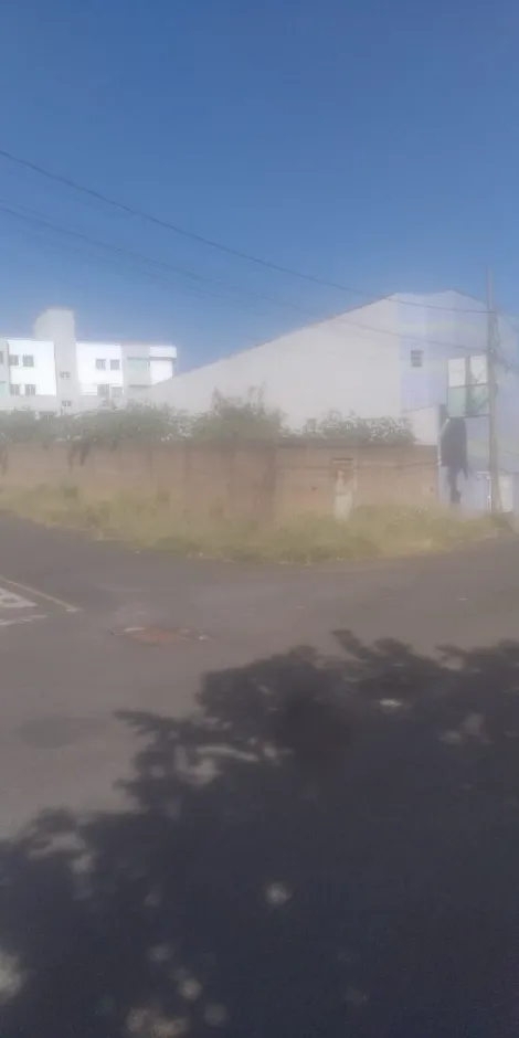 imagem 1 - Excelente a venda no bairro Santa Mônica imagem 1 - Excelente a venda no bairro Santa Mônica