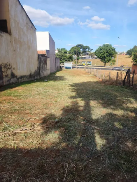imagem 2 - Terreno Para Venda No Bairro Brasil imagem 2 - Terreno Para Venda No Bairro Brasil