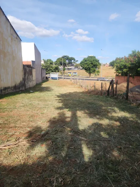 imagem 4 - Terreno Para Venda No Bairro Brasil imagem 4 - Terreno Para Venda No Bairro Brasil