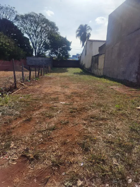 imagem 5 - Terreno Para Venda No Bairro Brasil imagem 5 - Terreno Para Venda No Bairro Brasil