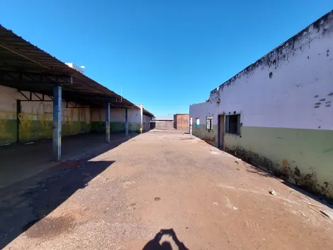 imagem 2 - Barracão para locação no bairro Brasil imagem 2 - Barracão para locação no bairro Brasil