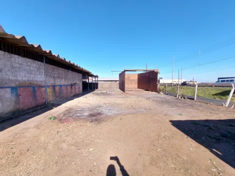 imagem 5 - Barracão para locação no bairro Brasil imagem 5 - Barracão para locação no bairro Brasil
