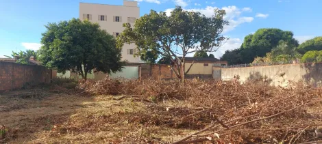 imagem 1 - Terreno - Área imagem 1 - Terreno - Área