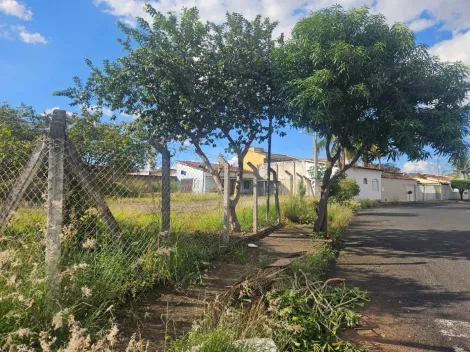 imagem 1 - Terreno para venda no Bairro Jardim Pátrícia imagem 1 - Terreno para venda no Bairro Jardim Pátrícia