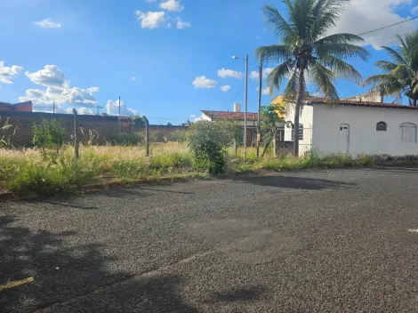 imagem 4 - Terreno para venda no Bairro Jardim Pátrícia imagem 4 - Terreno para venda no Bairro Jardim Pátrícia