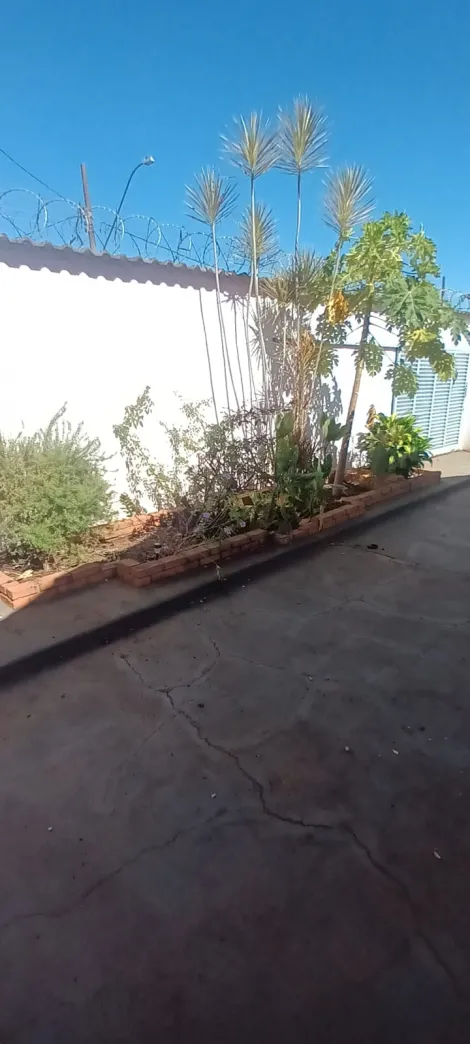 imagem 3 - Casa para venda no bairro Vigilato Pereira imagem 3 - Casa para venda no bairro Vigilato Pereira