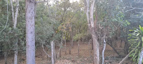 imagem 1 - Chácara para venda no bairro Shopping Park imagem 1 - Chácara para venda no bairro Shopping Park