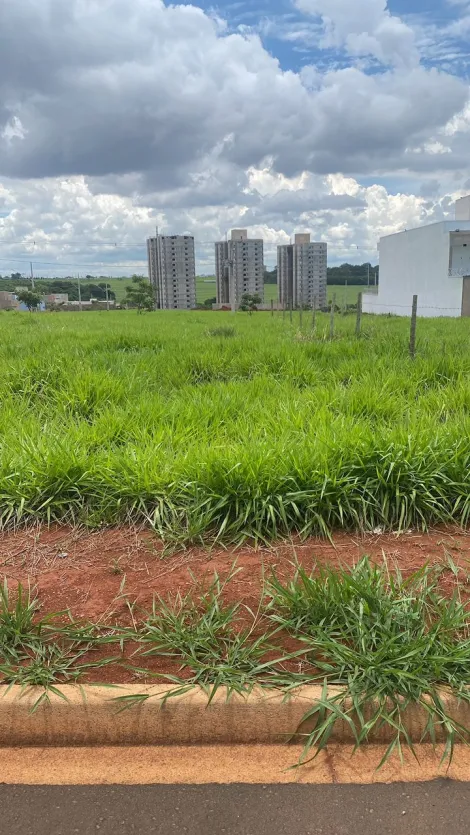 imagem 2 - Terreno - Padrão imagem 2 - Terreno - Padrão