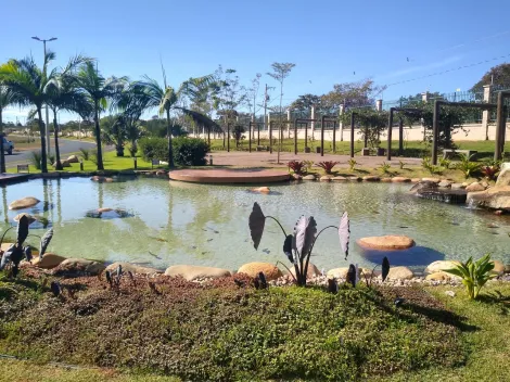 imagem 5 - Terreno para venda no Jardim Sul imagem 5 - Terreno para venda no Jardim Sul