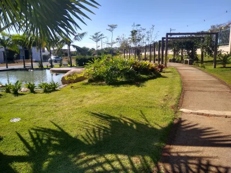 imagem 3 - Terreno para venda no Jardim Sul imagem 3 - Terreno para venda no Jardim Sul
