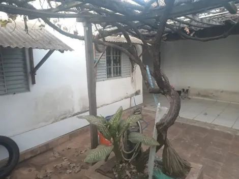 imagem 1 - Casa - Padrão imagem 1 - Casa - Padrão