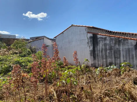 imagem 3 - Lote para venda no  Bairro Jardim Patrícia imagem 3 - Lote para venda no  Bairro Jardim Patrícia