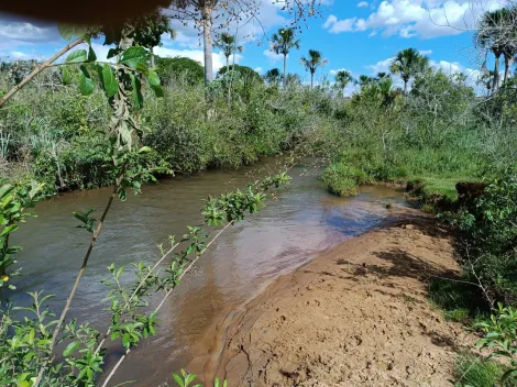 imagem 1 - Área Rural  Para venda no Monte Alegre imagem 1 - Área Rural  Para venda no Monte Alegre