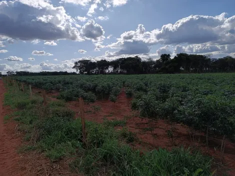 imagem 5 - Área Rural  Para venda no Monte Alegre imagem 5 - Área Rural  Para venda no Monte Alegre