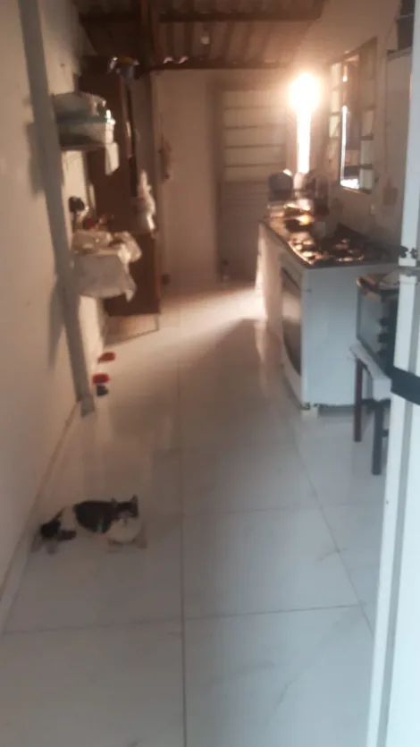 imagem 1 - Terreno - Área imagem 1 - Terreno - Área