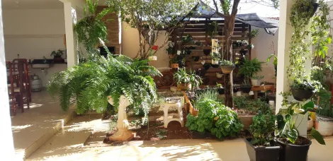 imagem 2 - Casa Sobrado para venda no Bairro Granada imagem 2 - Casa Sobrado para venda no Bairro Granada