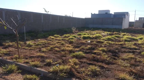 imagem 1 - Terreno Para Venda Novo Mundo imagem 1 - Terreno Para Venda Novo Mundo