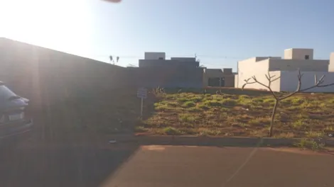 imagem 2 - Terreno Para Venda Novo Mundo imagem 2 - Terreno Para Venda Novo Mundo