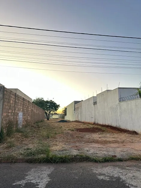 imagem 4 - Terreno  para venda no Bairro Jardim Patrícia imagem 4 - Terreno  para venda no Bairro Jardim Patrícia