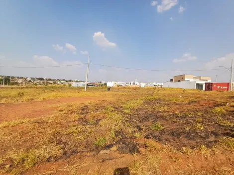 imagem 2 - Terreno - Padrão imagem 2 - Terreno - Padrão