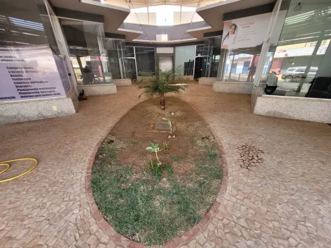 imagem 2 - Comercial - Loja imagem 2 - Comercial - Loja