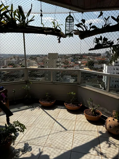 imagem 2 - Apartamento à Venda Bairro Osvaldo Resende imagem 2 - Apartamento à Venda Bairro Osvaldo Resende