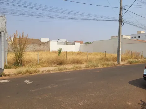imagem 1 - Terreno Para Venda No Bairo Novo Mundo imagem 1 - Terreno Para Venda No Bairo Novo Mundo