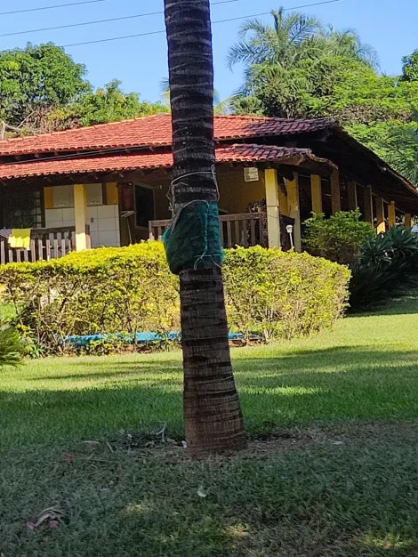 imagem 1 - Chácara Para venda Emborcação imagem 1 - Chácara Para venda Emborcação
