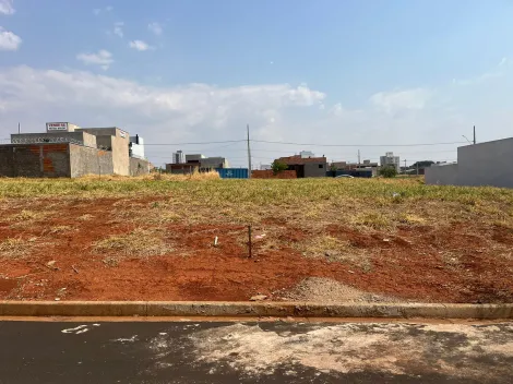 imagem 2 - Terreno - Padrão imagem 2 - Terreno - Padrão