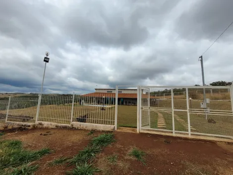 imagem 5 - Chácara a venda a 900 metros do Cruzeiro dos Peixoto imagem 5 - Chácara a venda a 900 metros do Cruzeiro dos Peixoto