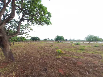 imagem 4 - Terreno para locação no bairro Morada nova imagem 4 - Terreno para locação no bairro Morada nova