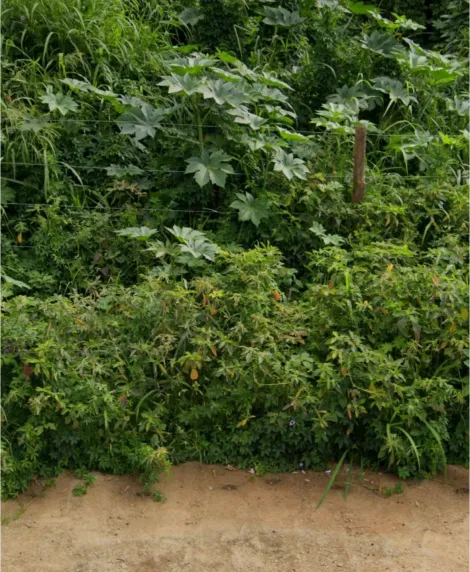 imagem 1 - Terreno para venda no City Uberlândia imagem 1 - Terreno para venda no City Uberlândia