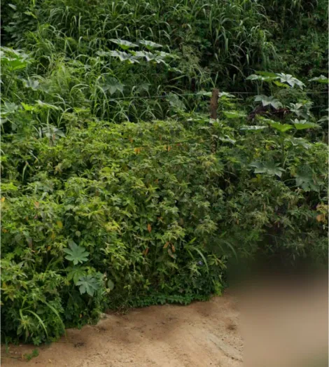 imagem 2 - Terreno para venda no City Uberlândia imagem 2 - Terreno para venda no City Uberlândia