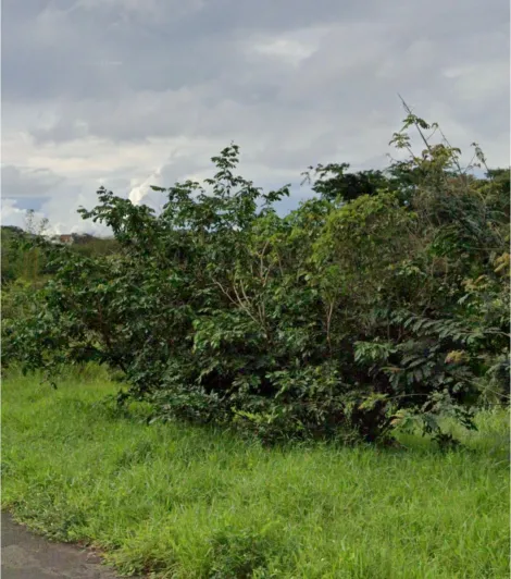 imagem 3 - Terreno para venda no City Uberlândia imagem 3 - Terreno para venda no City Uberlândia