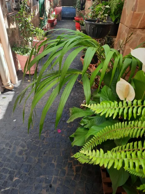 imagem 2 - Casa - Sobrado imagem 2 - Casa - Sobrado