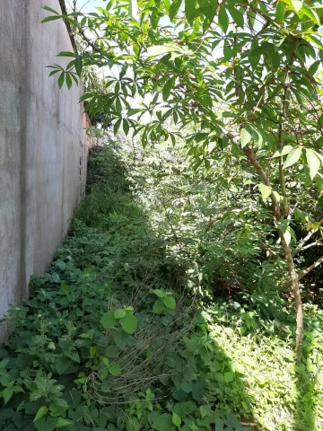 imagem 2 - Terreno - Padrão imagem 2 - Terreno - Padrão